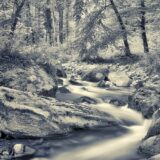 L'Aubonne - Noir et Blanc