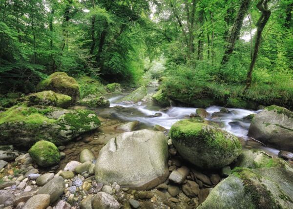 L'Aubonne No.17A - Version couleurs