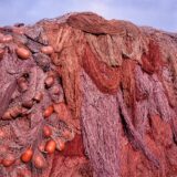 Tas de Choses - Couleurs