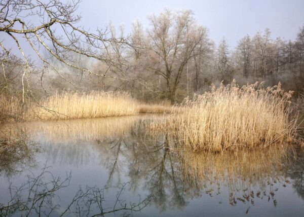 Etang No.1