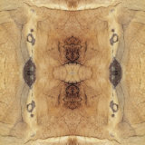 Tableaux Symétriques