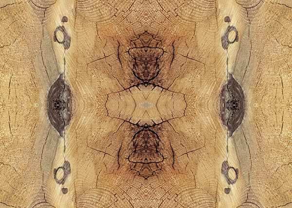 Abstraction Ligneuse Symétrique No.4