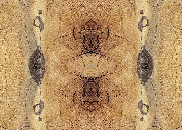 Abstraction Ligneuse Symétrique No.4