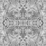 Eloge du Végétal - Chapitre 6: Tableaux - Noir et Blanc 1