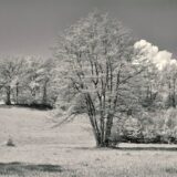 Campagnes - Noir et blanc