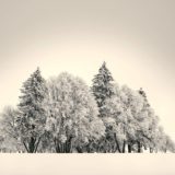 Paysage d'Hiver No.7B