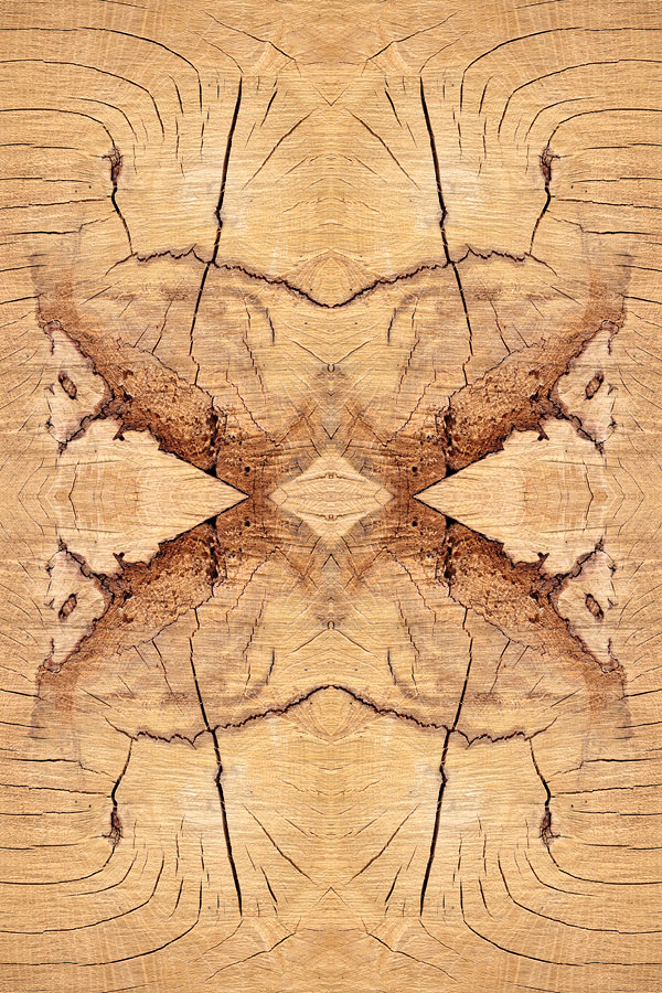 Abstraction Ligneuse Symétrique No.2A